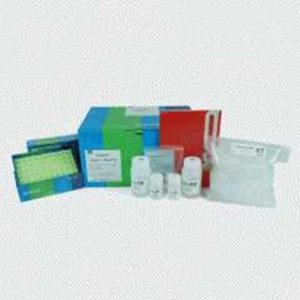 Exgene™ Blood SV, Midi