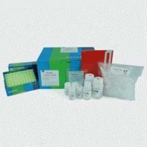 Exgene™ Cell SV, mini