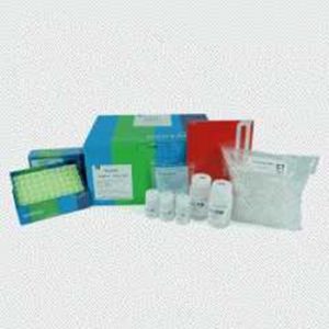 Exgene™ Clinic SV, mini