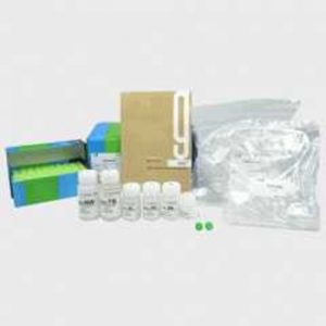 Exgene™ Soil DNA mini