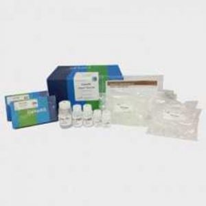 Exgene™ Stool DNA mini