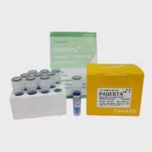 PAGESTA™ Reducing 5x SDS-PAGE Sample Buffer